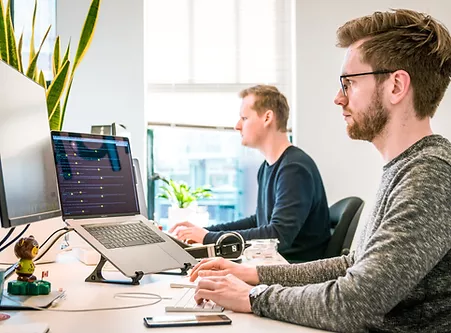 Descripción de la imagen